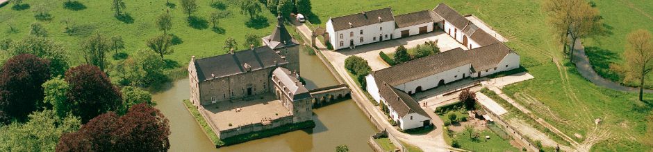 Boek: Kastelen in Limburg. Burchten en landhuizen (1000-1800)